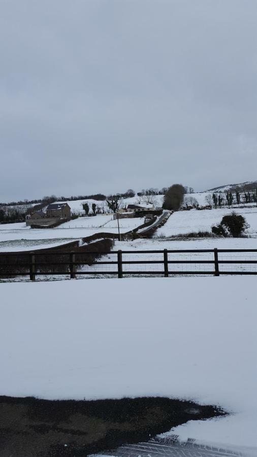 Holly Cottage Mayobridge Newry Exteriér fotografie